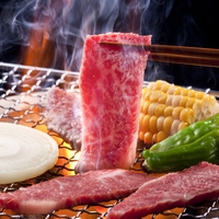 Yaki-Niku (Fleischgrill) / Steak