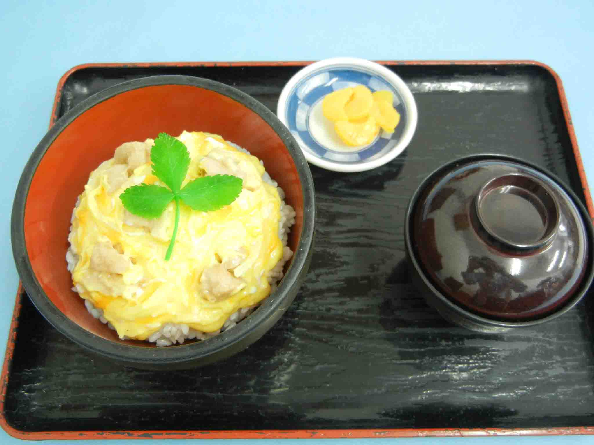 Donburi Bowl of Rice Topped With Chicken, Eggs, and Onions