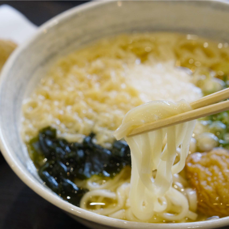 Pufferfish Udon