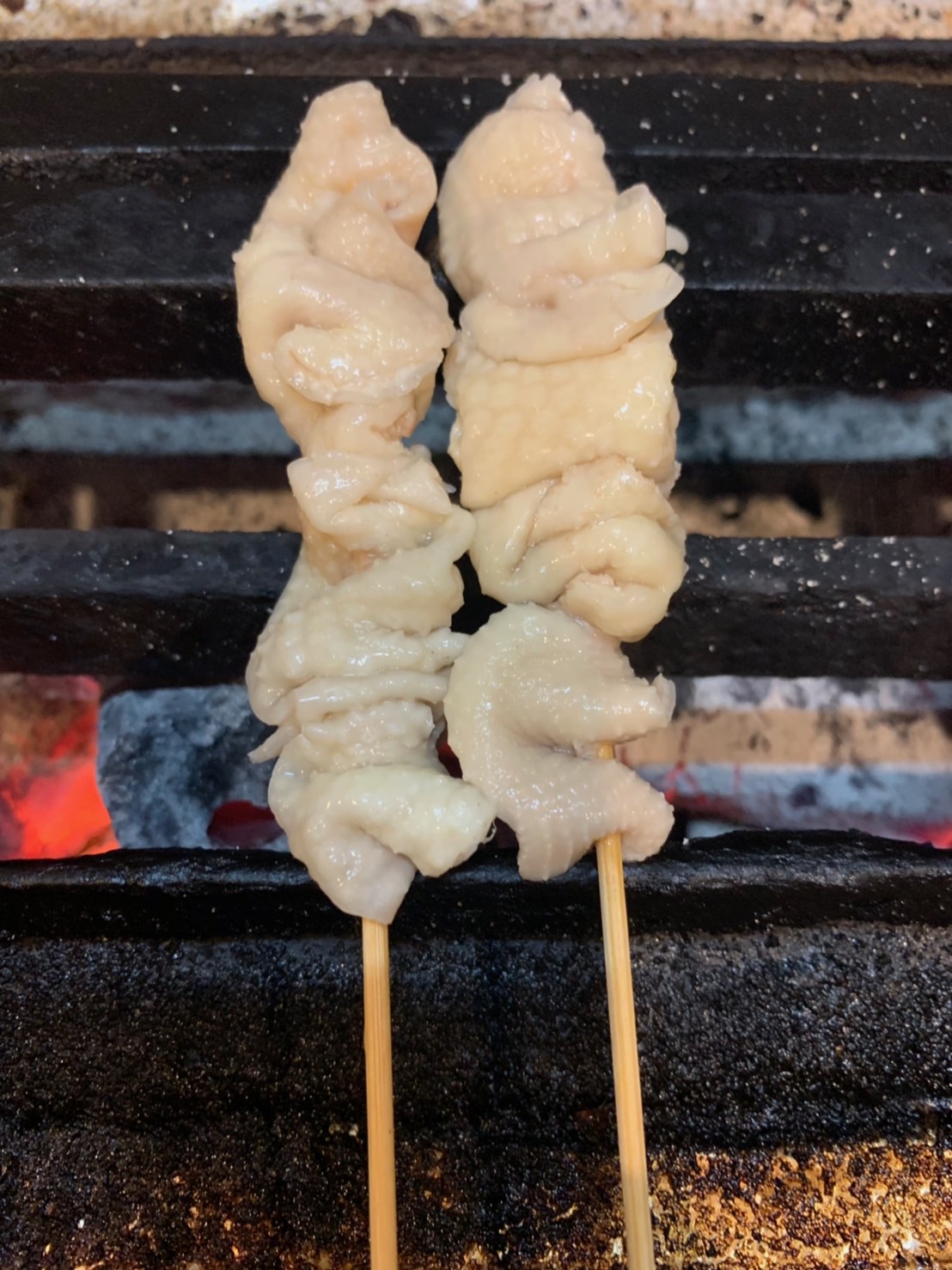 Chicken Skin 